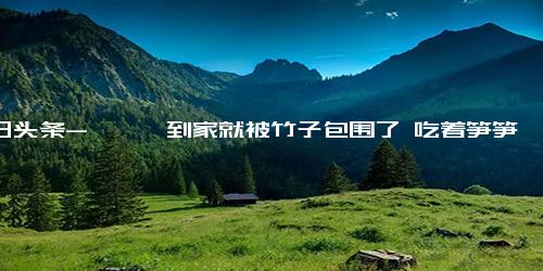 今日头条-丫丫一到家就被竹子包围了 吃着笋笋的丫丫好像在微笑